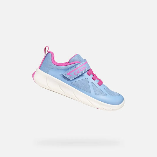 Light blue/Fuchsia