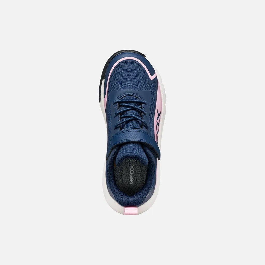 Navy/Pink