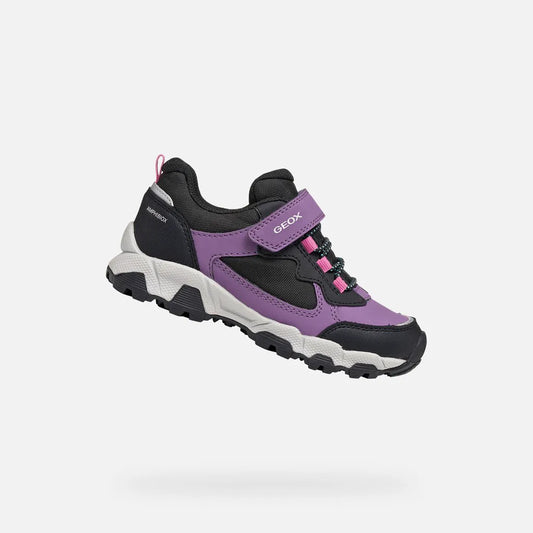 Violet/Black