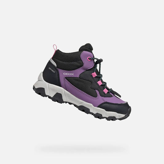 Violet/Black