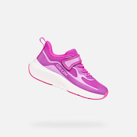 Purple/Fluo Fuchsia