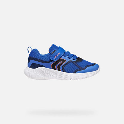 Blue/Black