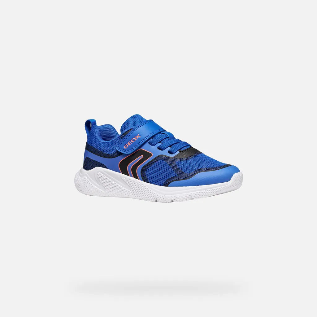 Blue/Black