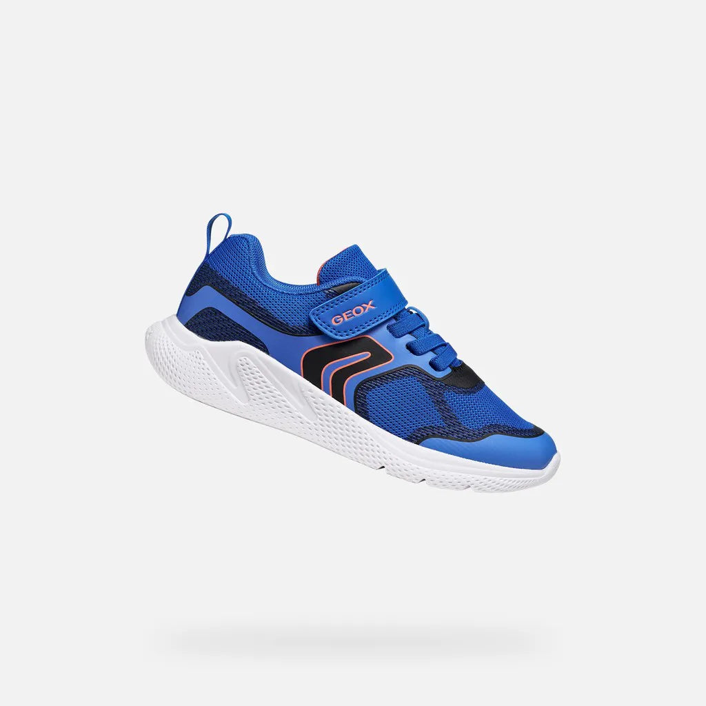 Blue/Black