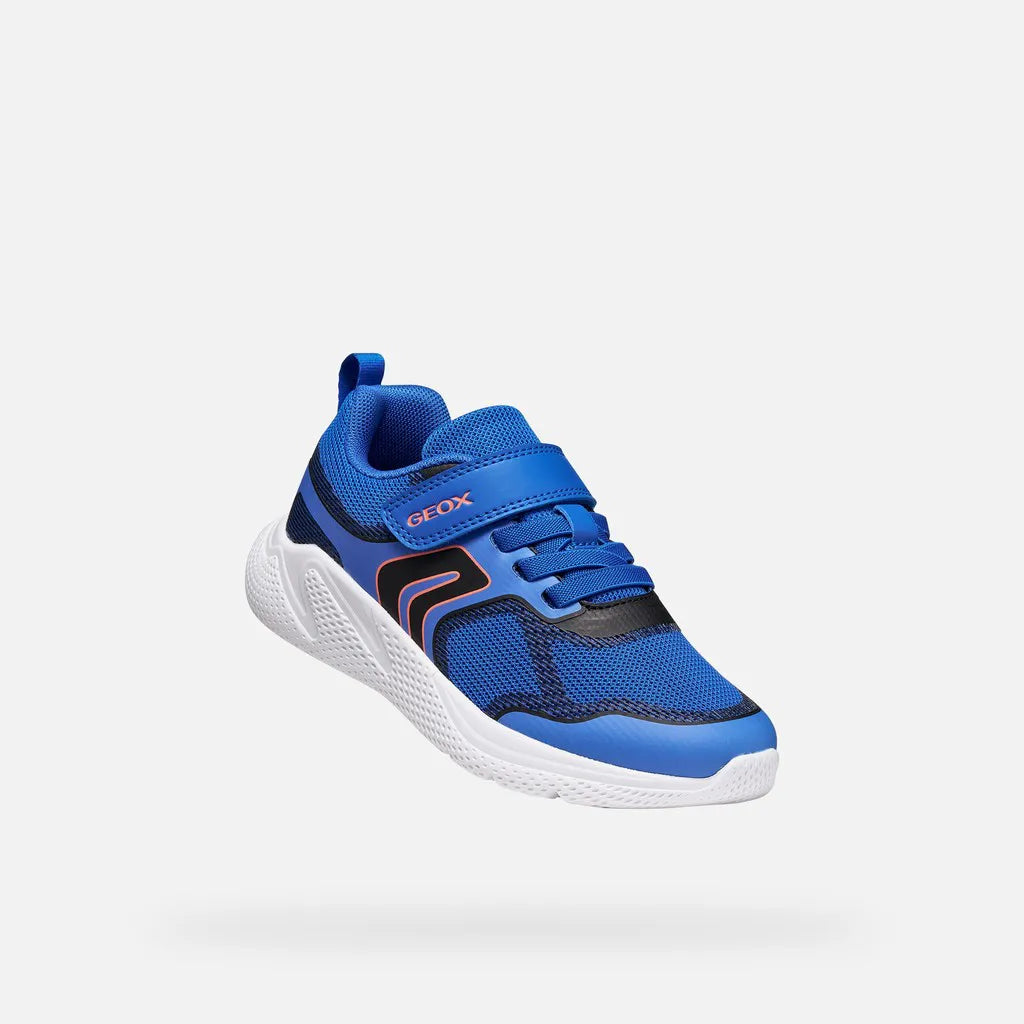 Blue/Black