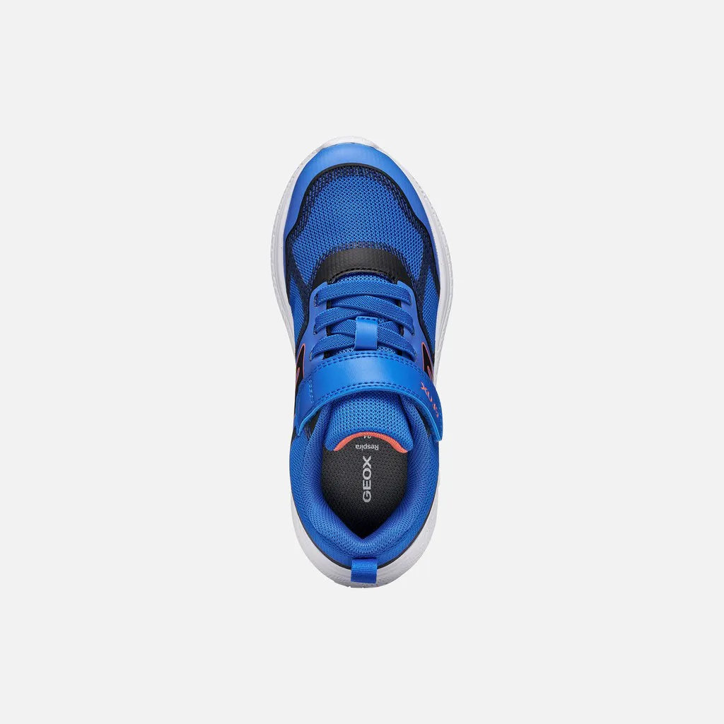 Blue/Black
