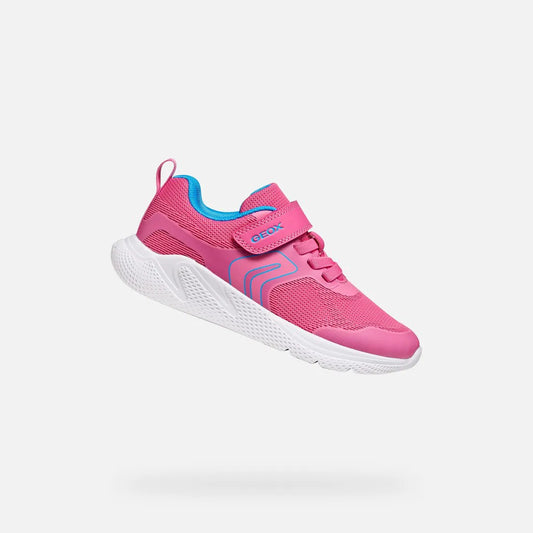 Fuchsia/Royal