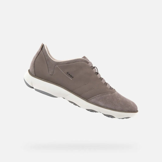 Dove Gray