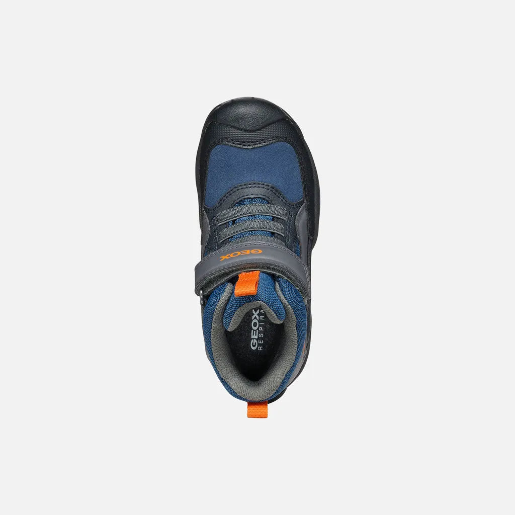 Blue/Dark Gray