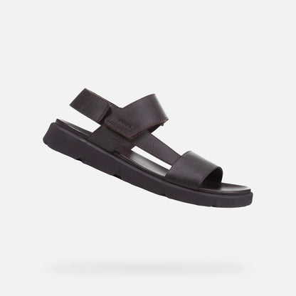 Brown cotto