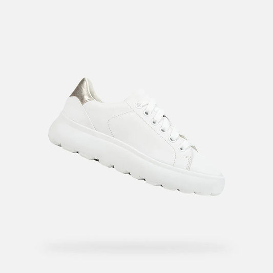 White/Gold