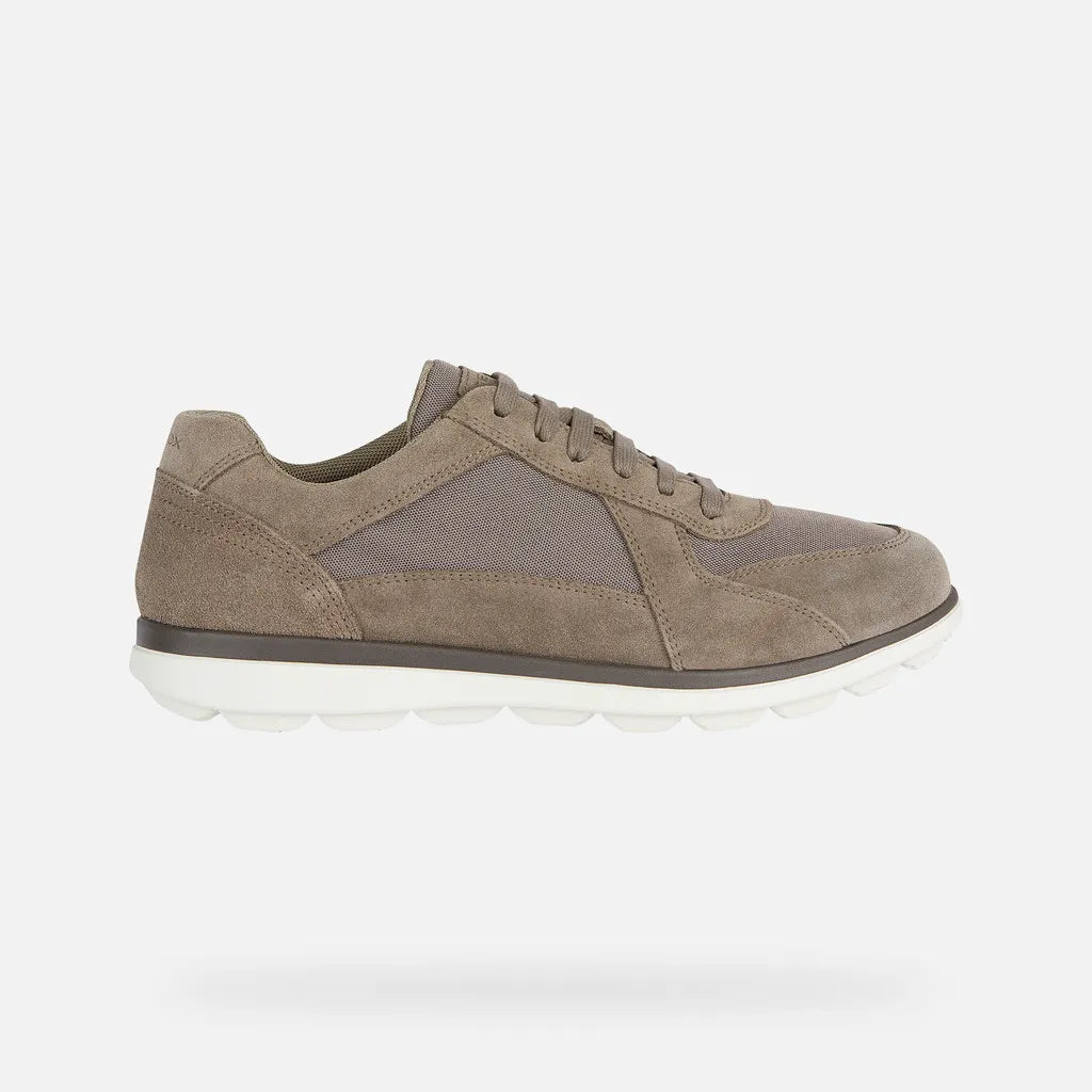 Dove Gray