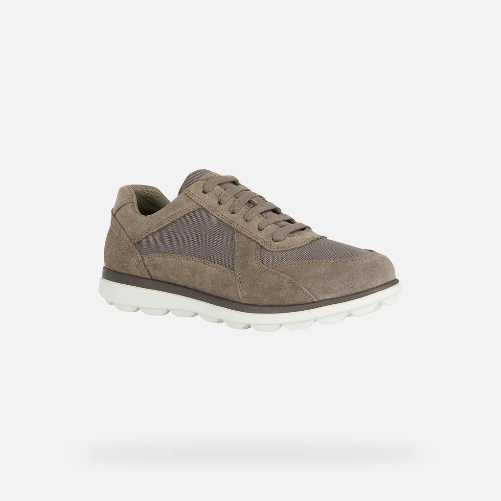 Dove Gray