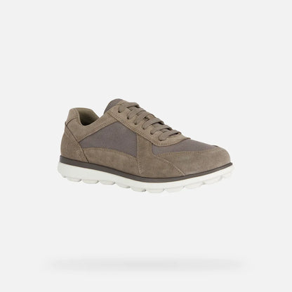 Dove Gray