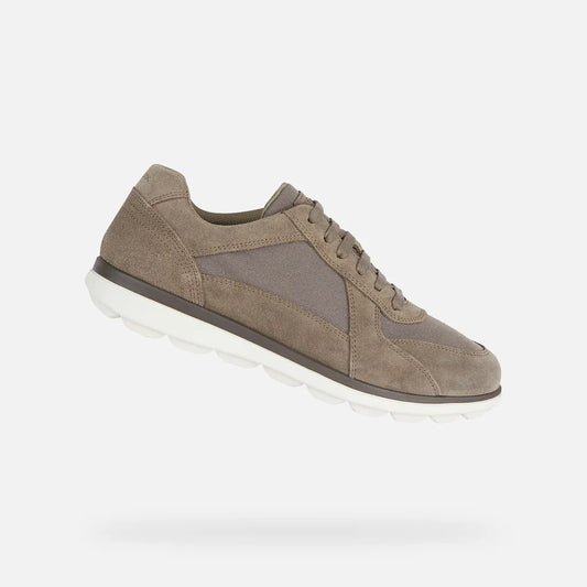 Dove Gray