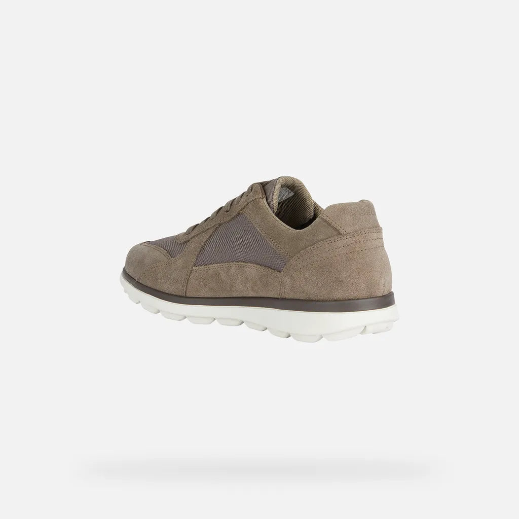 Dove Gray