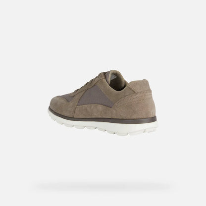 Dove Gray