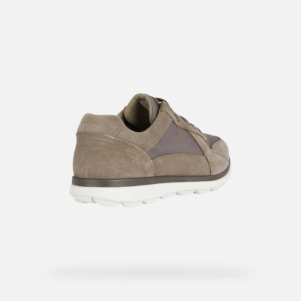 Dove Gray