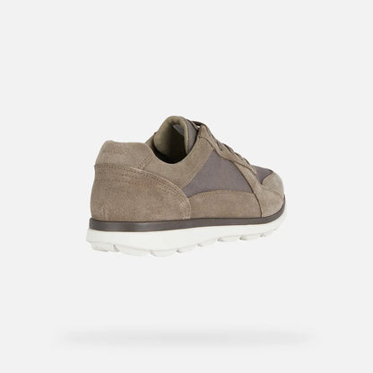 Dove Gray
