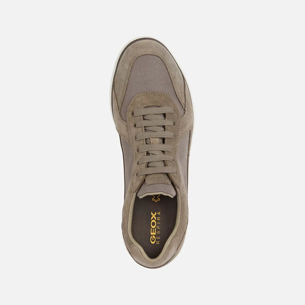 Dove Gray