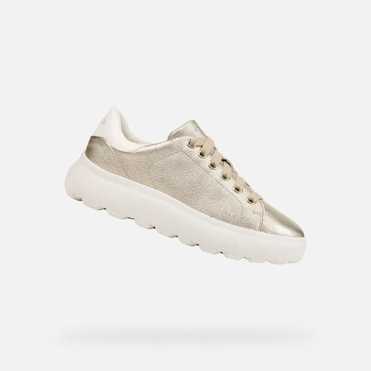 Gold/Optic white