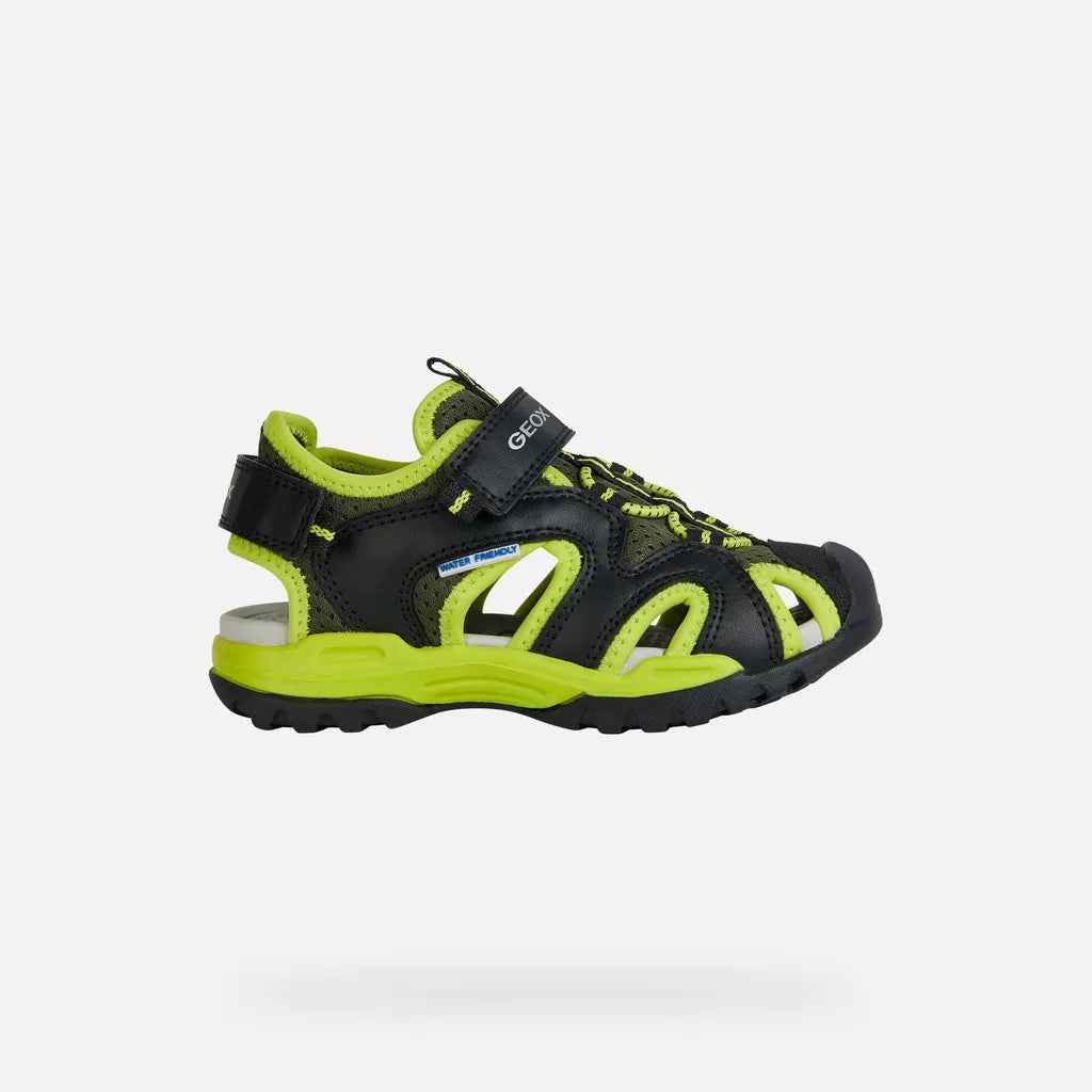 Black/Lime
