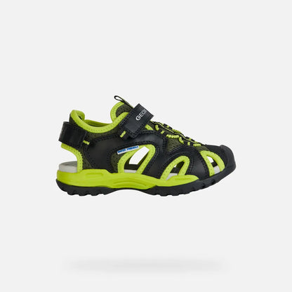Black/Lime