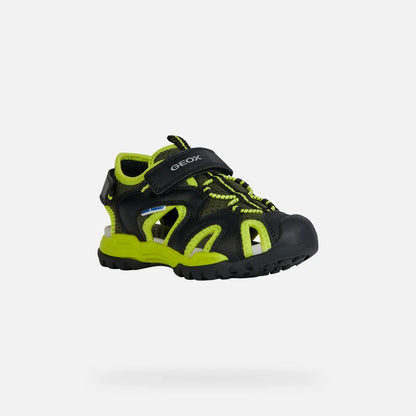 Black/Lime
