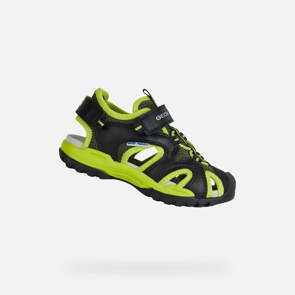 Black/Lime