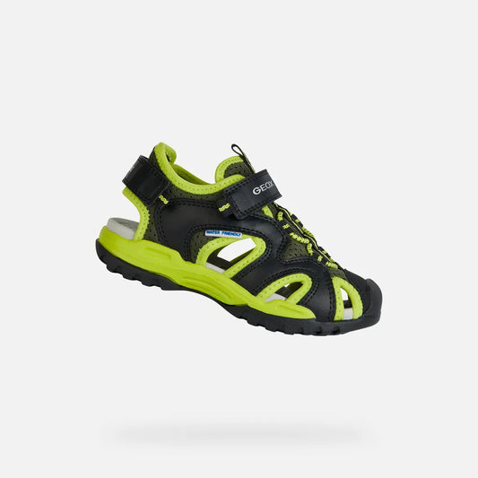 Black/Lime
