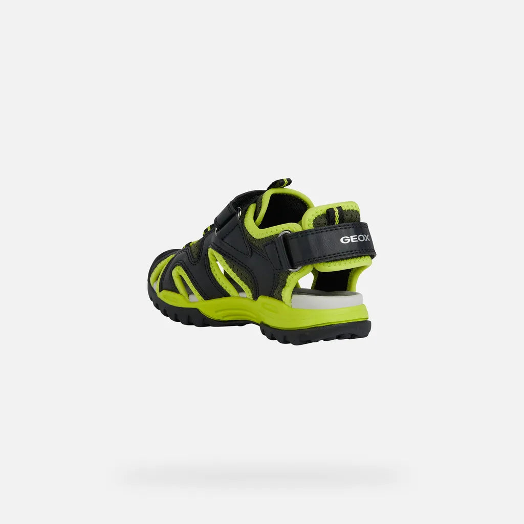 Black/Lime