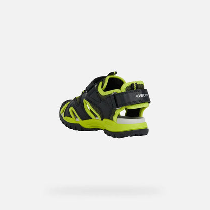 Black/Lime