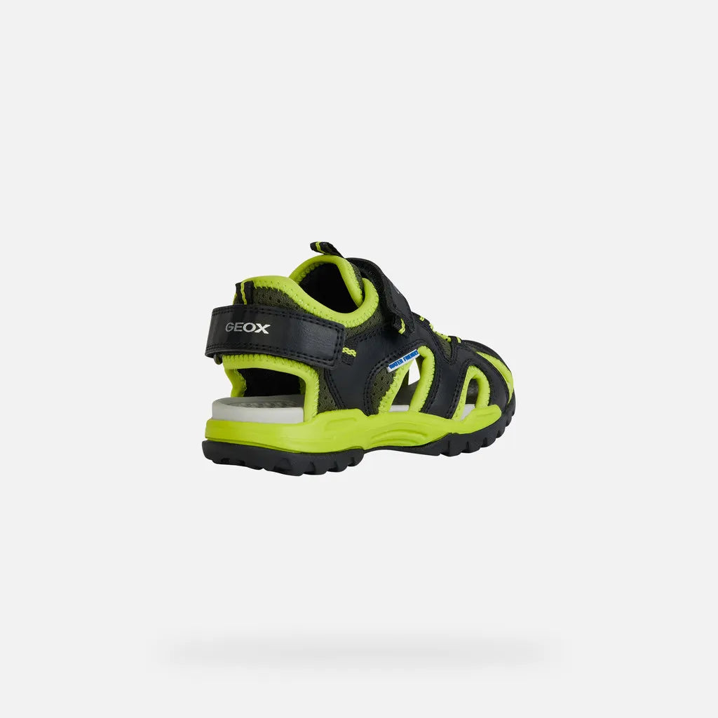 Black/Lime