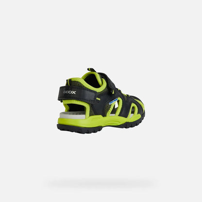 Black/Lime