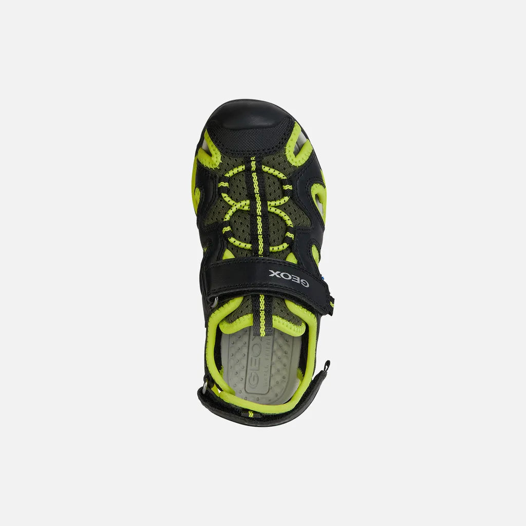 Black/Lime
