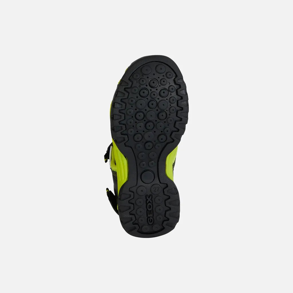 Black/Lime