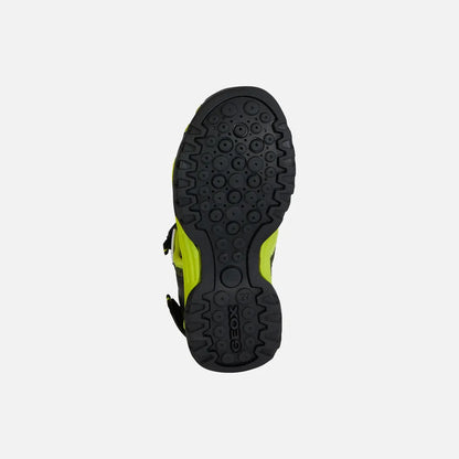 Black/Lime