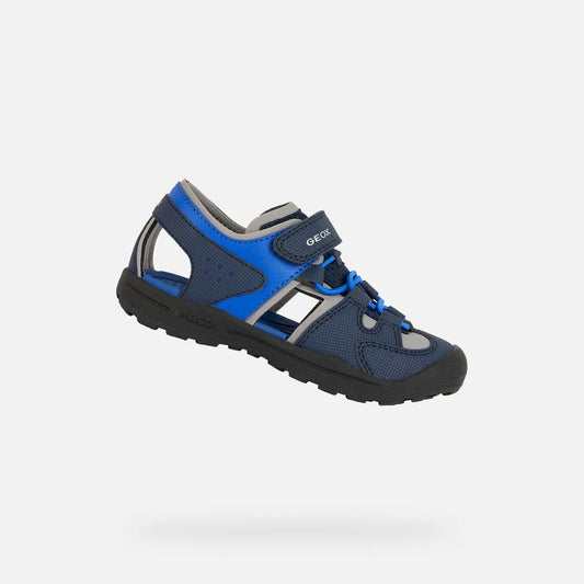 Navy/Royal