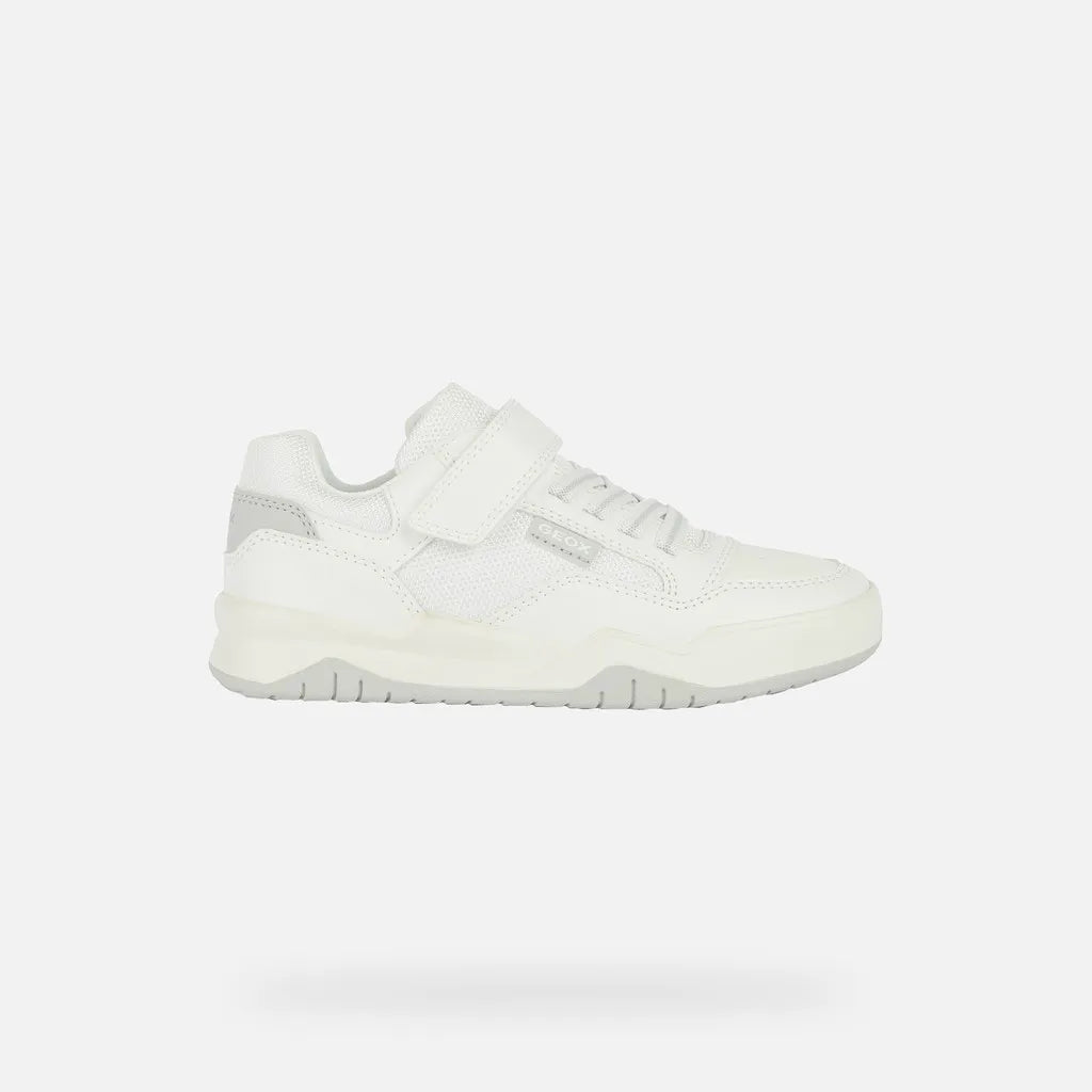 White/Light Gray