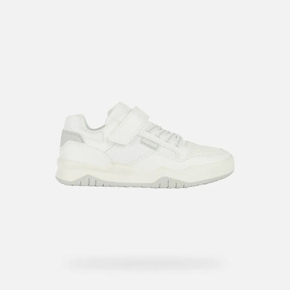 White/Light Gray