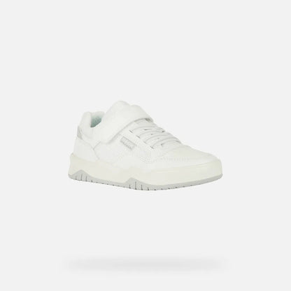 White/Light Gray