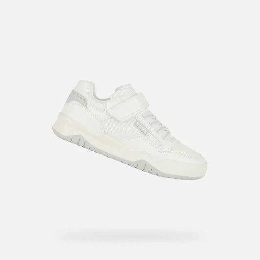 White/Light Gray