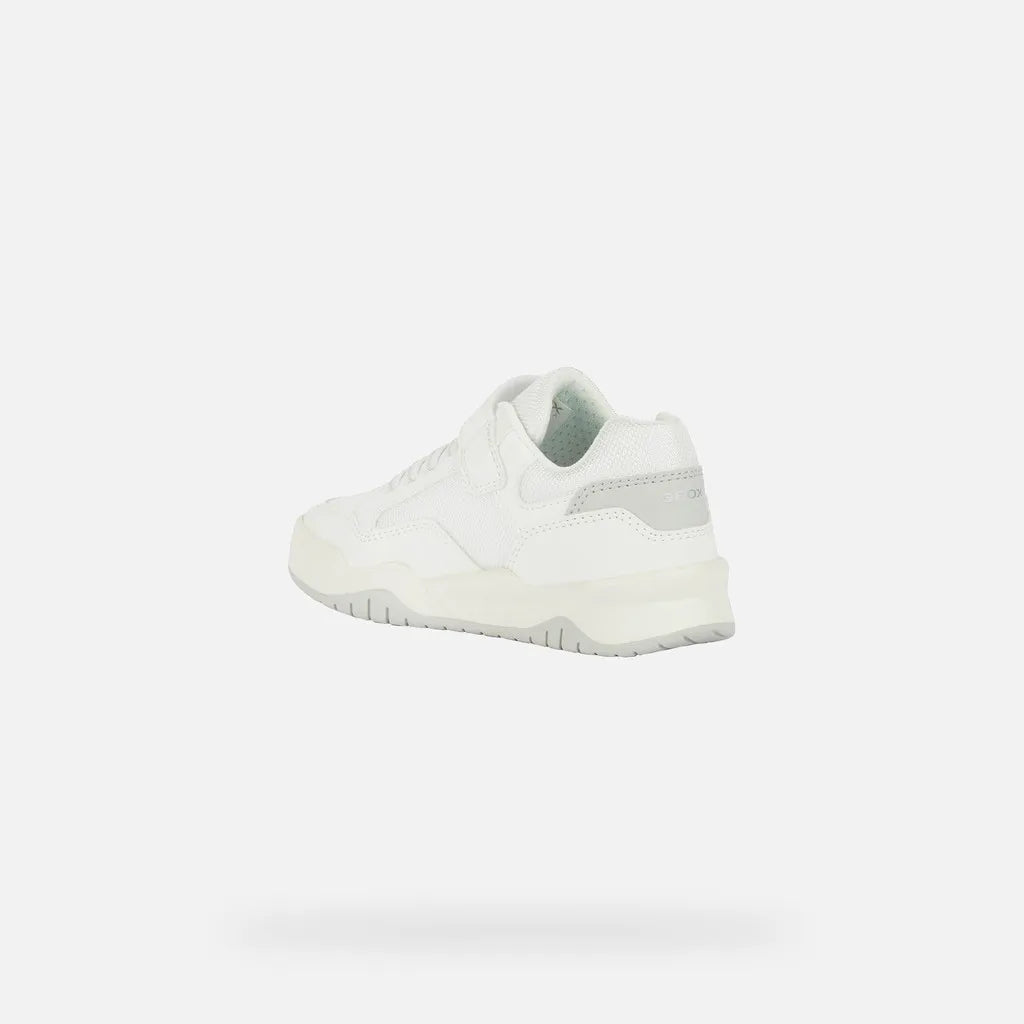 White/Light Gray