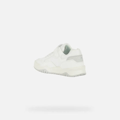 White/Light Gray