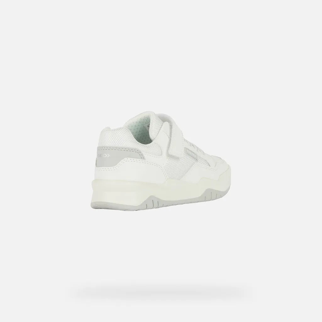 White/Light Gray