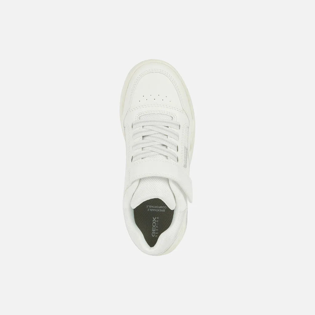 White/Light Gray