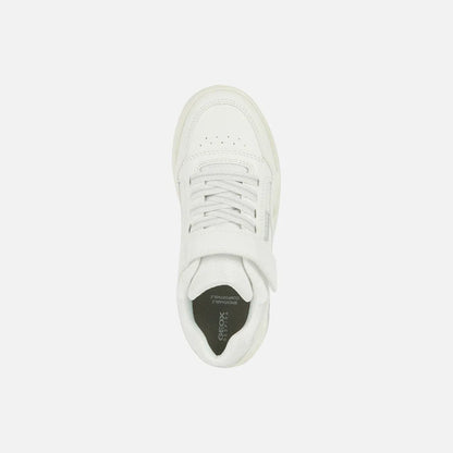 White/Light Gray