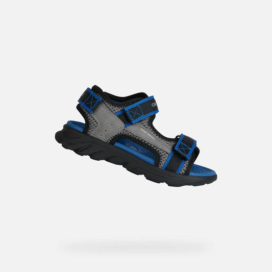 Gray/Royal