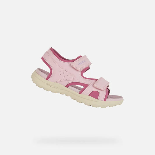 Pink/Fuchsia