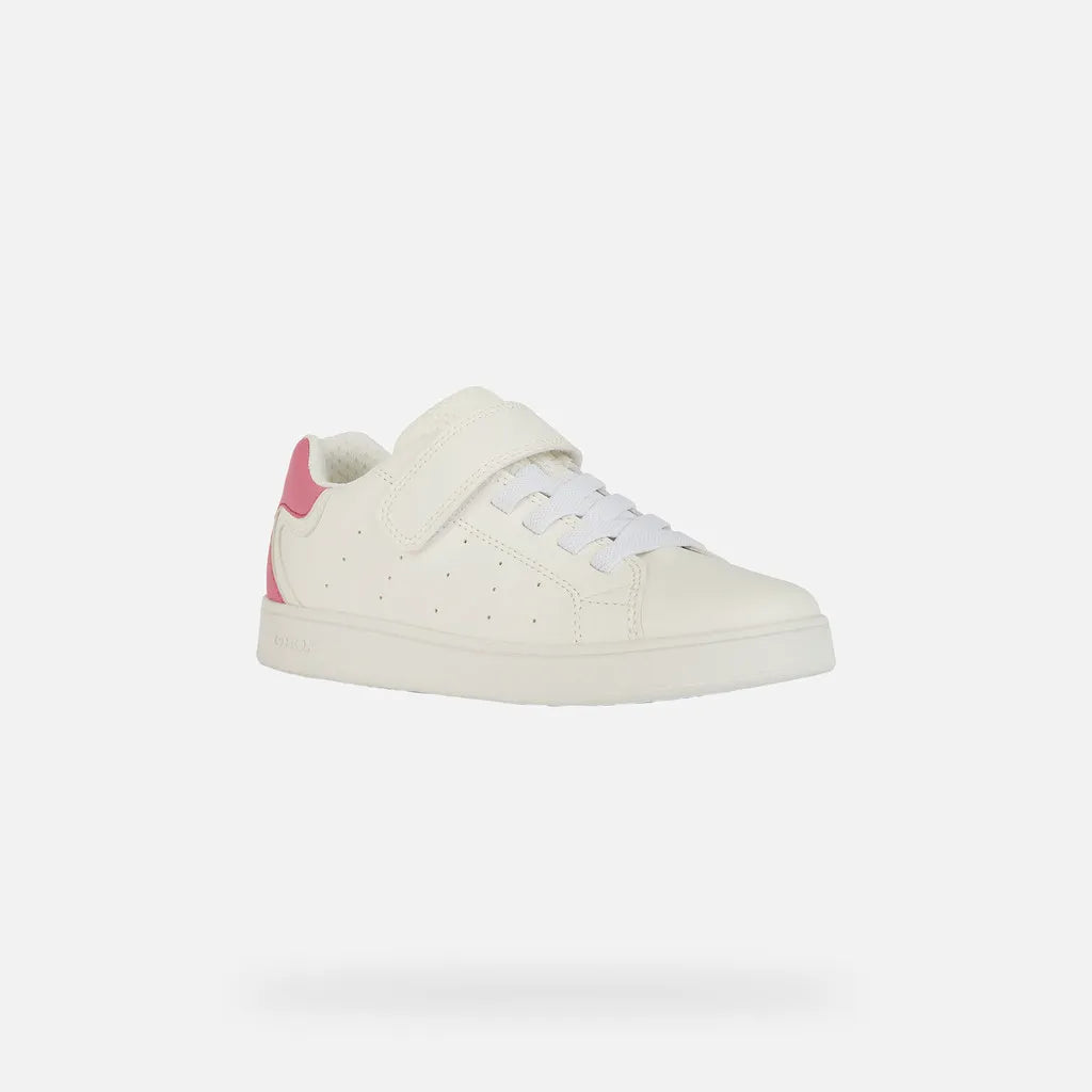 White/Fuchsia